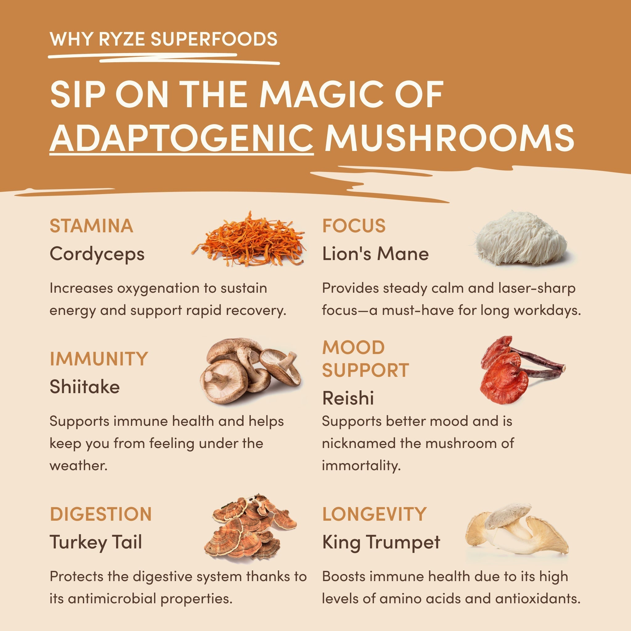 Mushroom Overnight Oats (14 Servings) - Coffee for Daily Life