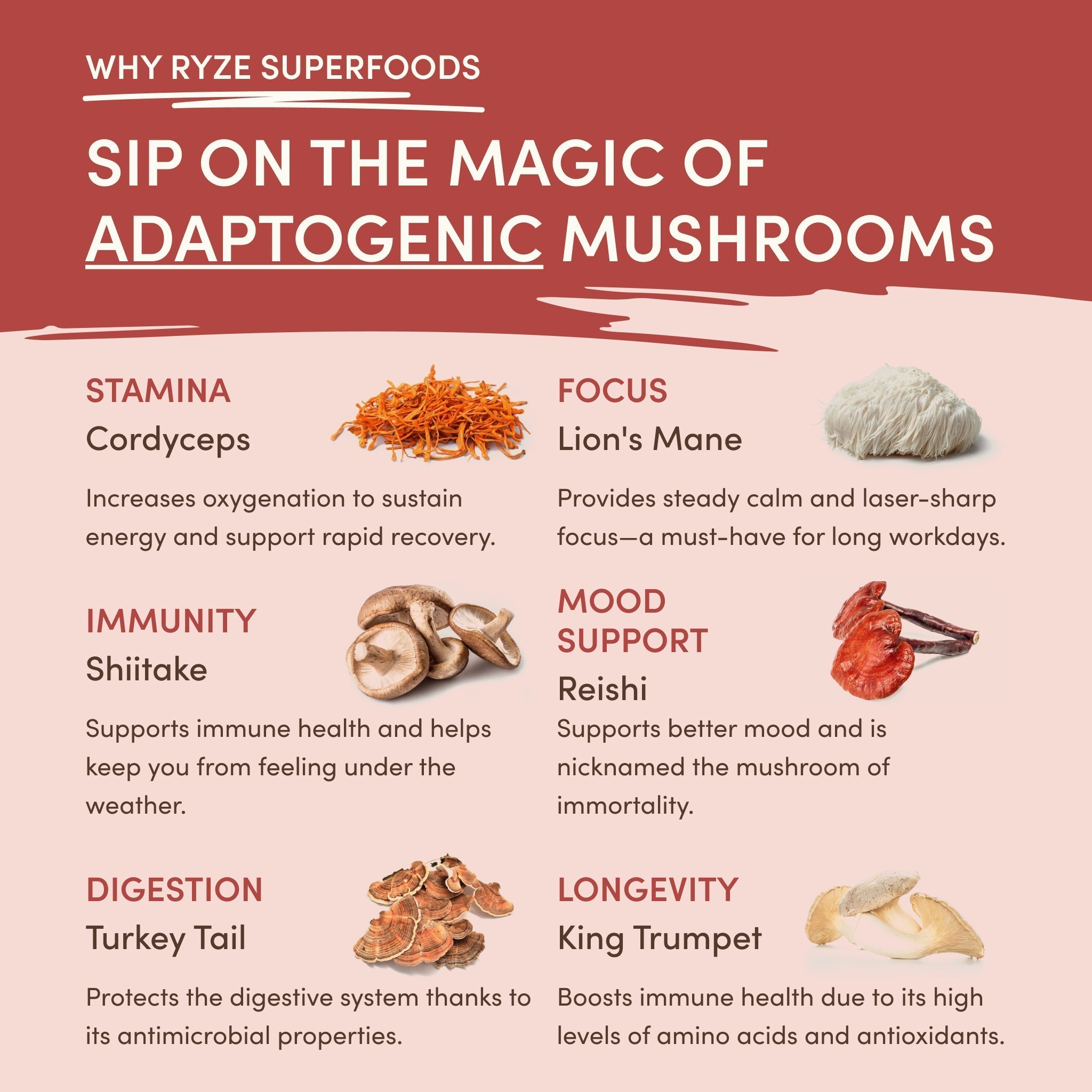 Mushroom Chai (20 Servings) - Superfoods Made Easy