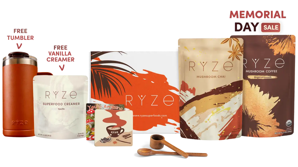 Boosted Chai Latte Bundle