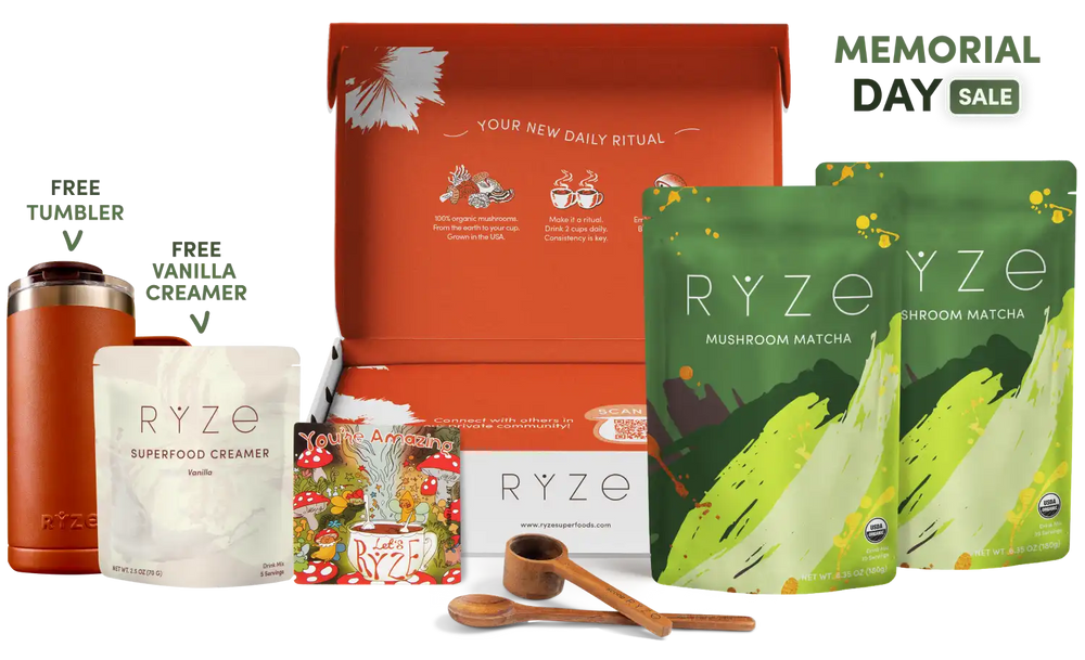 Matcha Starter Kit